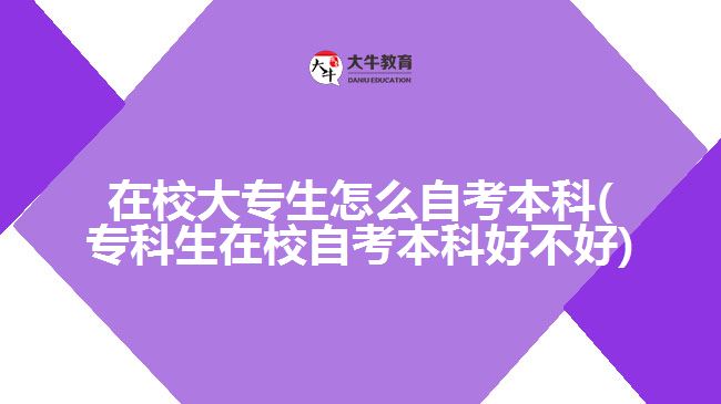 在校大專生怎么自考本科(?？粕谛Ｗ钥急究坪貌缓?