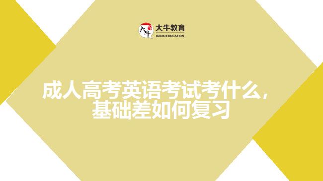成考英語考什么，基礎(chǔ)差如何復(fù)習(xí)