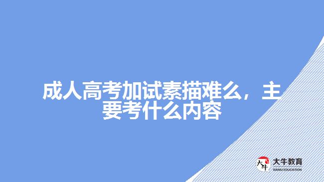成人高考加試素描難么，主要考什么內(nèi)容
