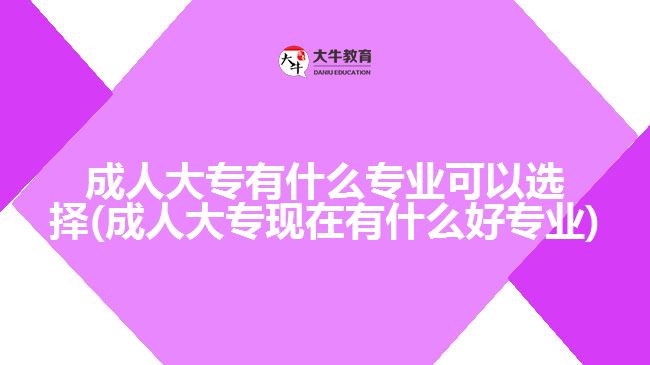 成人大專有什么專業(yè)可以選擇(成人大?，F(xiàn)在有什么好專業(yè))