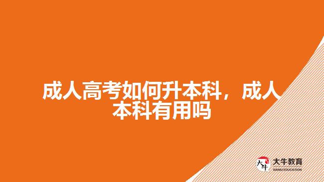 成人高考如何升本科，成人本科有用嗎