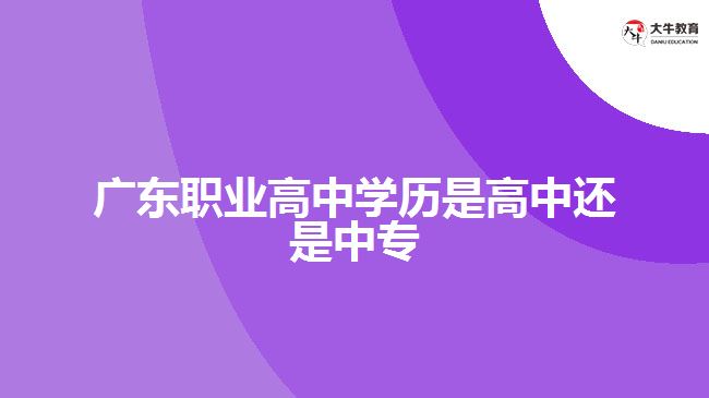廣東職業(yè)高中學(xué)歷是高中還是中專(zhuān)