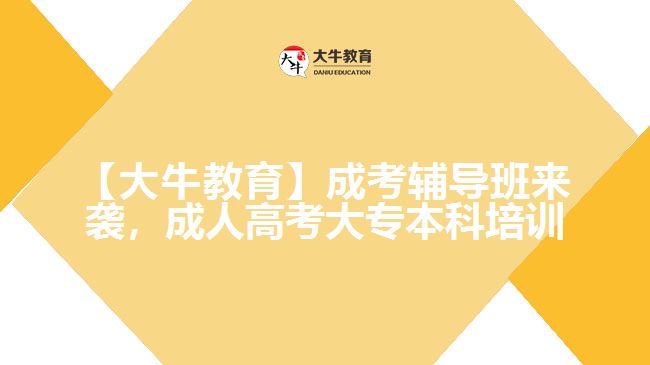 大牛教育成考輔導班來襲