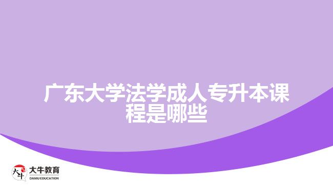 廣東大學(xué)法學(xué)成人專(zhuān)升本課程是哪些