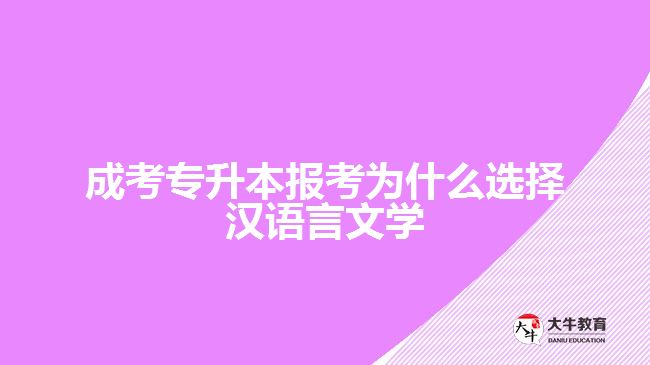 成考專升本報(bào)考為什么選擇漢語言文學(xué)