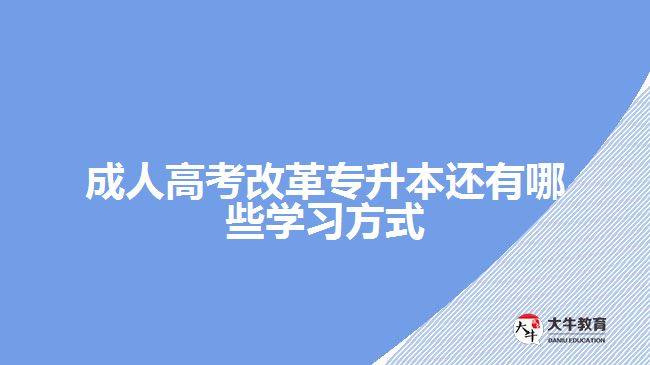 成人高考改革專(zhuān)升本還有哪些學(xué)習(xí)方式