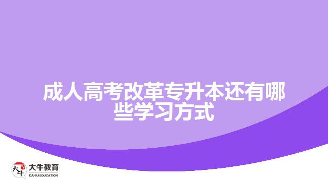 成人高考專升本還有哪些學習方式