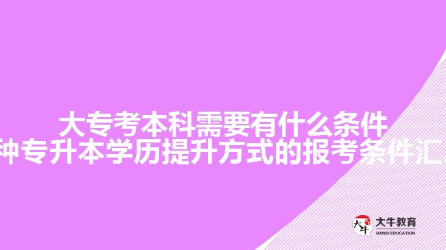大?？急究菩枰惺裁礂l件