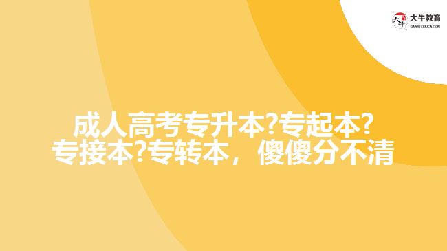 成人高考專升本?專起本?專接本?專轉(zhuǎn)本，傻傻分不清