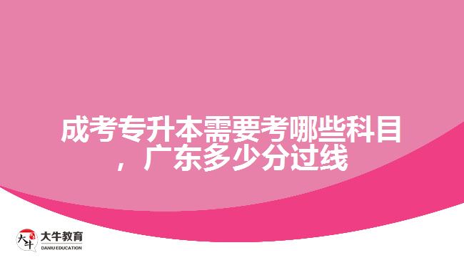 成考專升本需要考哪些科目，廣東多少分過線