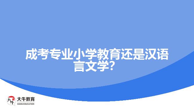 成考專業(yè)小學(xué)教育還是漢語言文學(xué)？