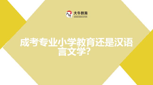 成考小學(xué)教育還是漢語言文學(xué)？