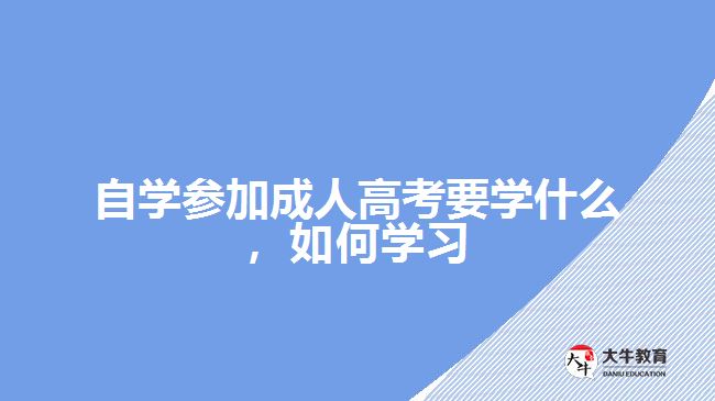 自學(xué)參加成考要學(xué)什么，如何學(xué)習(xí)