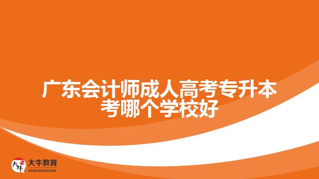會計師成人高考專升本考哪個學校好