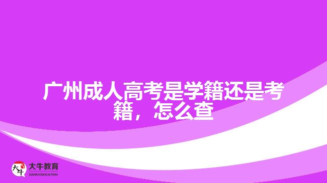 廣州成人高考是學(xué)籍還是考籍，怎么查