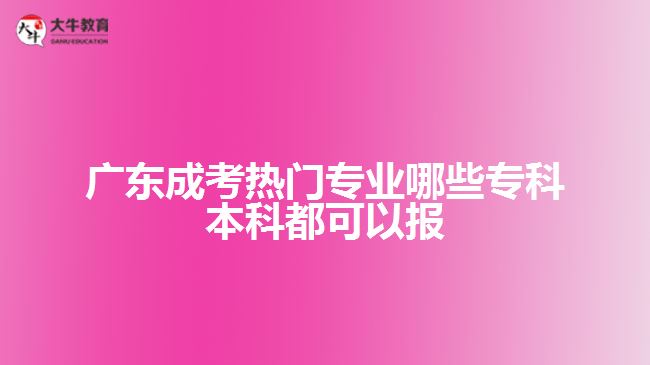 廣東成考熱門專業(yè)哪些專科本科都可以報(bào)