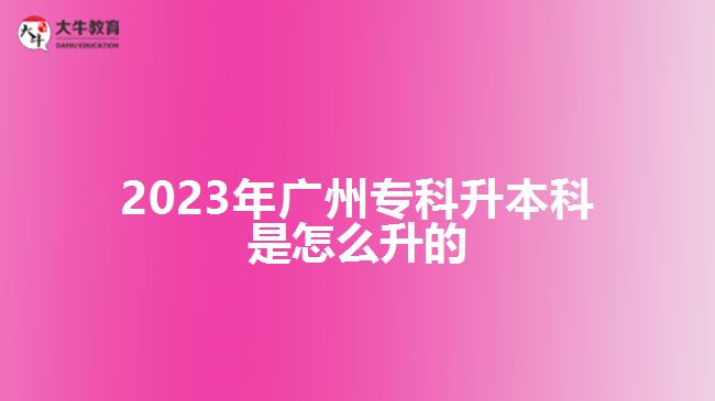 2023年廣州?？粕究剖窃趺瓷? width='170' height='105'/></a></dt>
						<dd><a href=