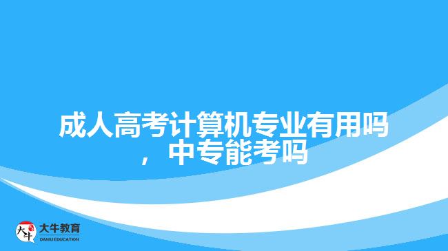 成考計(jì)算機(jī)專業(yè)有用嗎，中專能考嗎