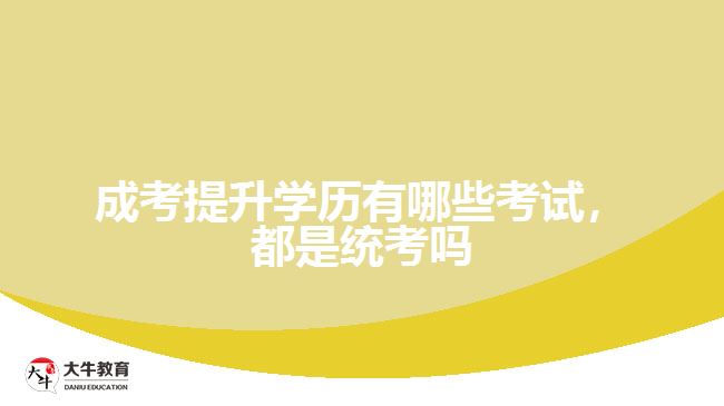 成考提升學歷有哪些考試都是統(tǒng)考嗎