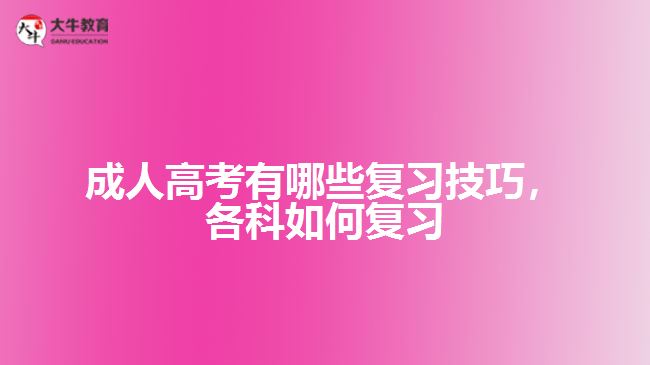 成考有哪些復(fù)習(xí)技巧，各科如何復(fù)習(xí)