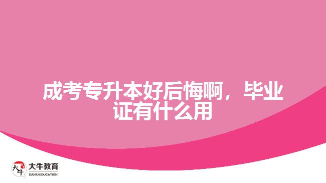 成考專升本好后悔啊，畢業(yè)證有什么用