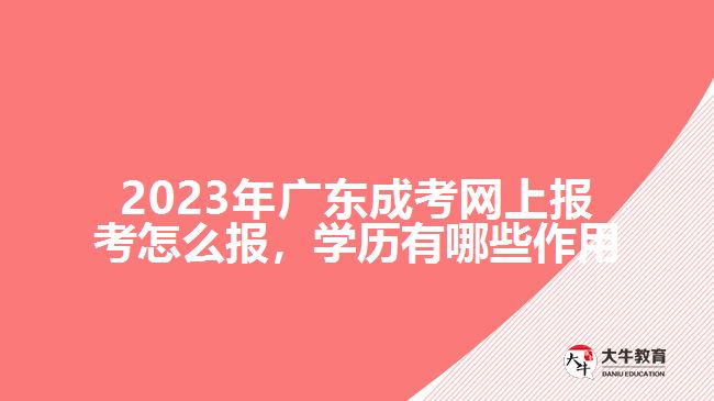 成考網(wǎng)上報考怎么報學歷有哪些作用