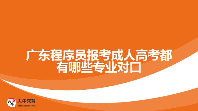 廣東程序員報(bào)考成人高考都有哪些專業(yè)對(duì)口