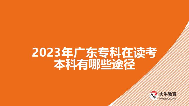 2023年廣東?？圃谧x考本科有哪些途徑
