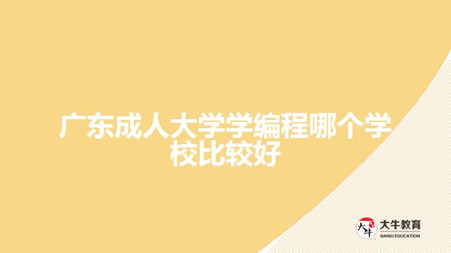廣東成人大學學編程哪個學校比較好