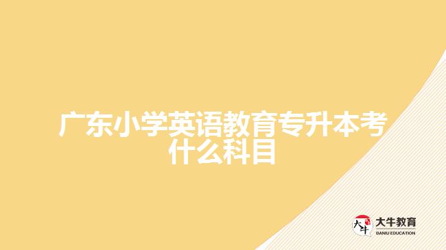 廣東小學(xué)英語(yǔ)教育專升本考什么科目