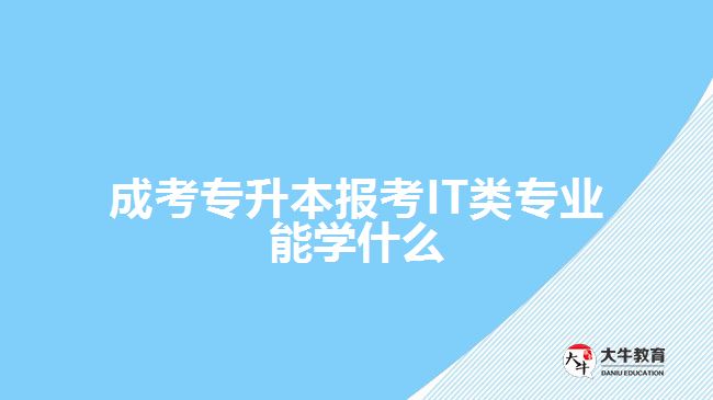 成考專(zhuān)升本報(bào)考IT類(lèi)專(zhuān)業(yè)能學(xué)什么