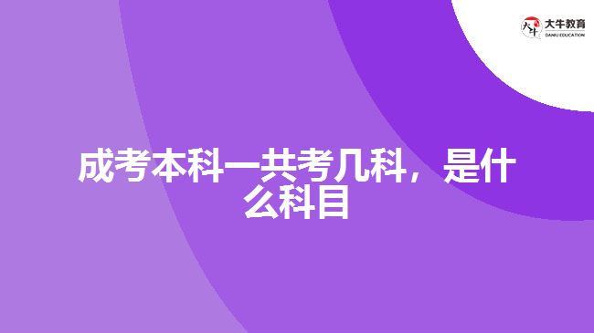 成考本科一共考幾科，是什么科目
