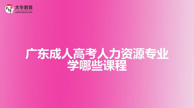 廣東成人高考人力資源專(zhuān)業(yè)學(xué)哪些課程