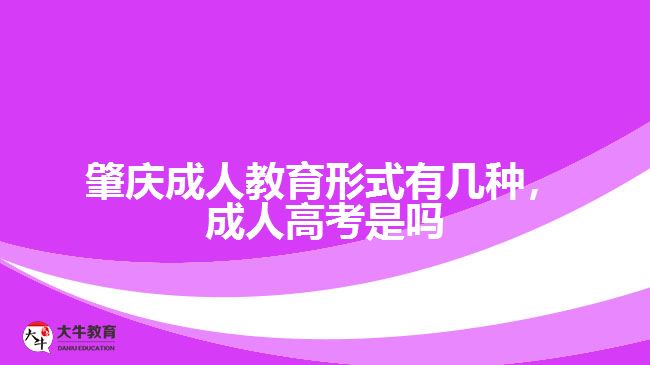 成人教育形式有幾種，成人高考是嗎