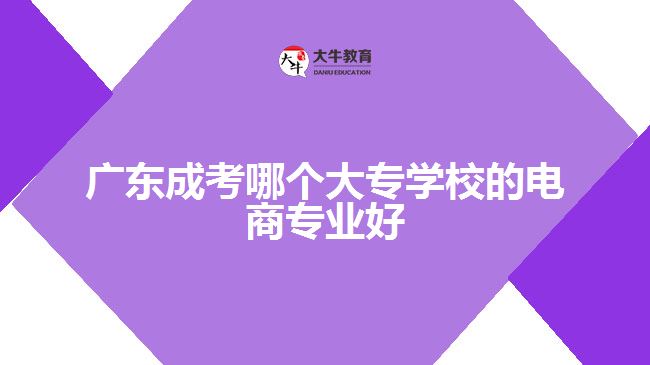 廣東成考哪個(gè)大專(zhuān)學(xué)校的電商專(zhuān)業(yè)好