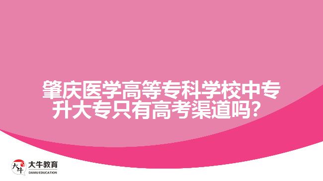 肇慶醫(yī)學(xué)高等專科學(xué)校中專升大專只有高考渠道嗎？