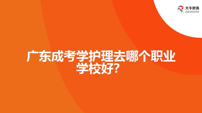 廣東成考學護理去哪個職業(yè)學校好？
