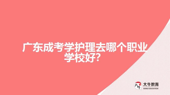 廣東成考學(xué)護理去哪個職業(yè)學(xué)校好？