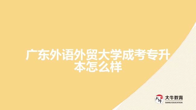 廣東外語外貿(mào)大學成考專升本怎么樣