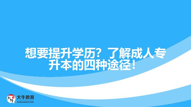 想要提升學歷？了解成人專升本的四種途徑！