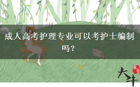 成人高考護(hù)理專業(yè)可以考護(hù)士編制嗎？