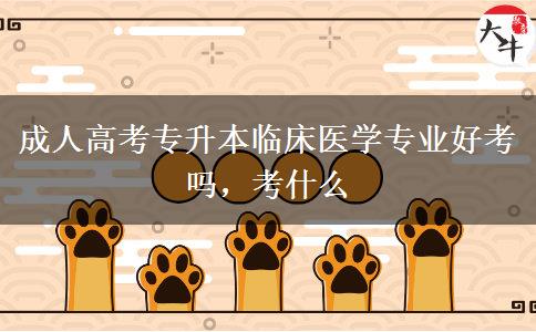 成人高考專升本臨床醫(yī)學(xué)專業(yè)好考嗎，考什么