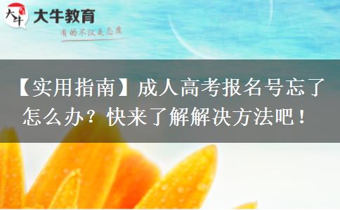 成人高考報(bào)名號(hào)忘了怎么辦？