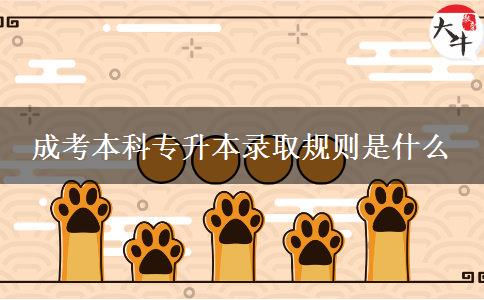 成考本科專(zhuān)升本錄取規(guī)則是什么