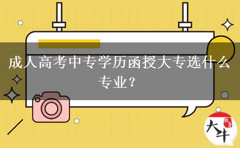 成人高考中專學(xué)歷函授大專選什么專業(yè)？