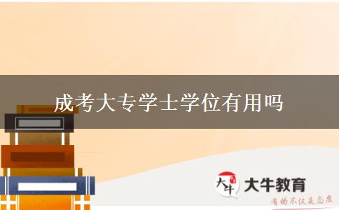 成考大專(zhuān)學(xué)士學(xué)位有用嗎