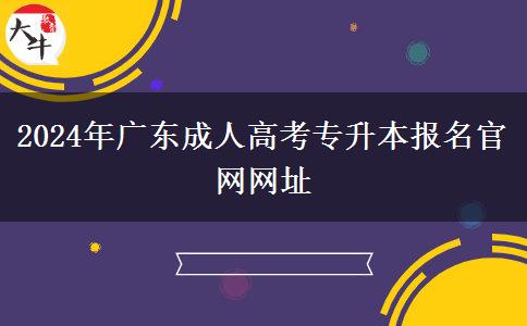 2024年廣東成人高考專(zhuān)升本報(bào)名官網(wǎng)網(wǎng)址