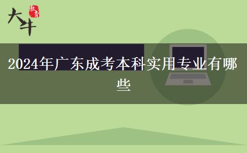 2024年廣東成考本科實(shí)用專(zhuān)業(yè)有哪些