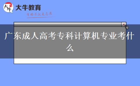 廣東成人高考?？朴?jì)算機(jī)專業(yè)考什么