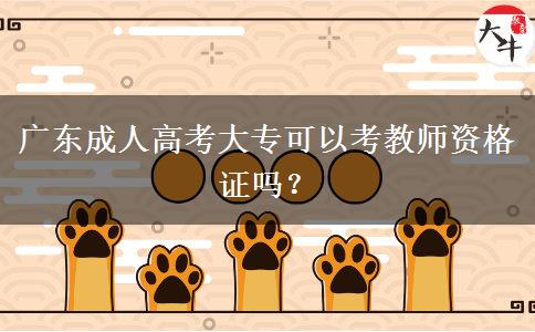 廣東成人高考大?？梢钥冀處熧Y格證嗎？